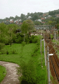 fot. Cluzo
